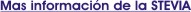 infostevia.jpg