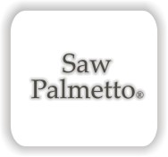 saw.jpg